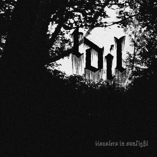 To Dwell In Longing : Disasters in Sunlight